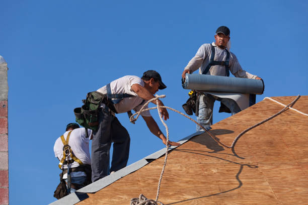 Best Roof Maintenance Services  in Brooklet, GA
