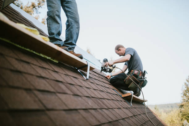 Best Metal Roofing Contractor  in Brooklet, GA