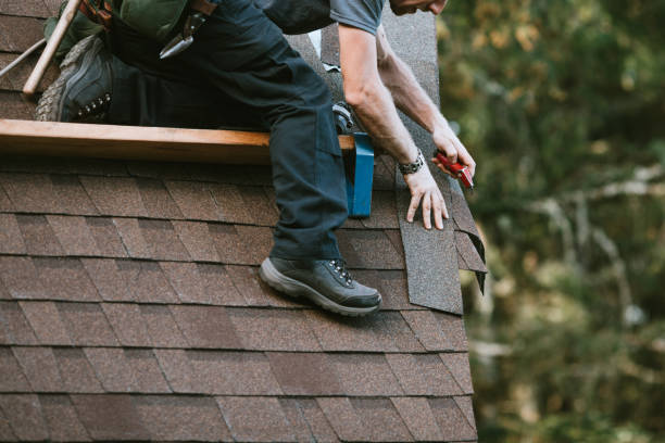 Best Roof Waterproofing Services  in Brooklet, GA